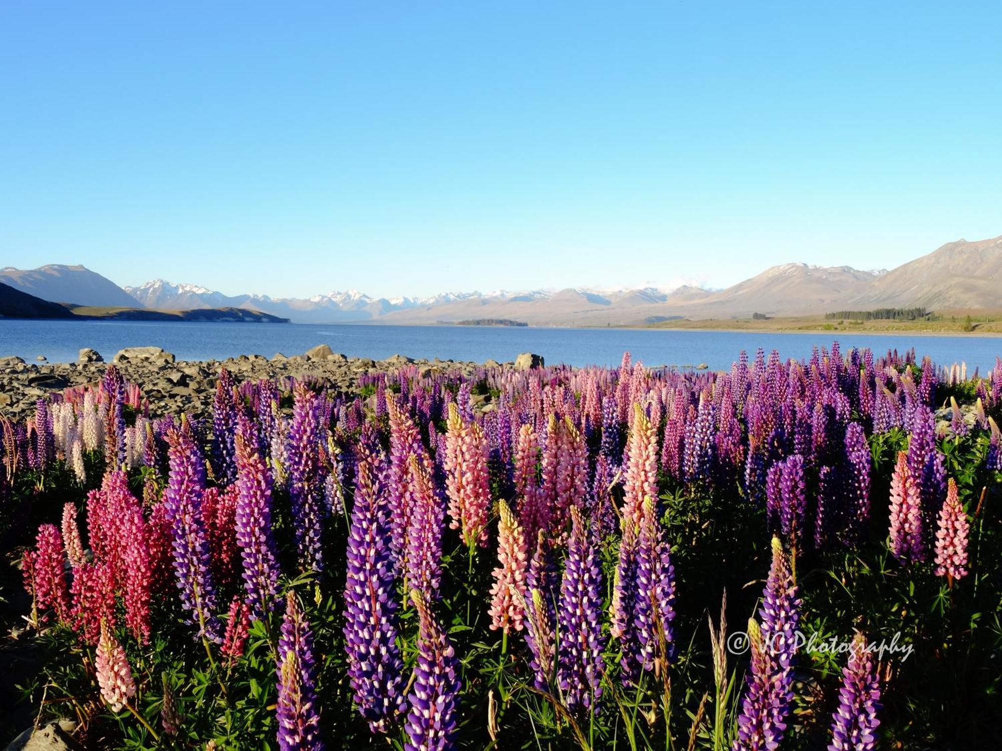 Tekapo Luxury Apartments Lago Tékapo Exterior foto